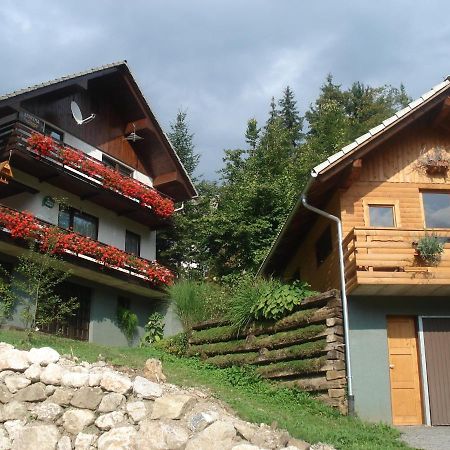 Apartma Podlogar Golica Triglav Appartement Jesenice Buitenkant foto