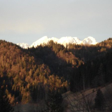 Apartma Podlogar Golica Triglav Appartement Jesenice Buitenkant foto