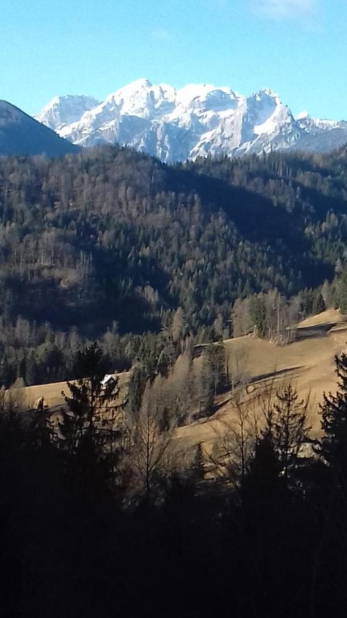 Apartma Podlogar Golica Triglav Appartement Jesenice Buitenkant foto
