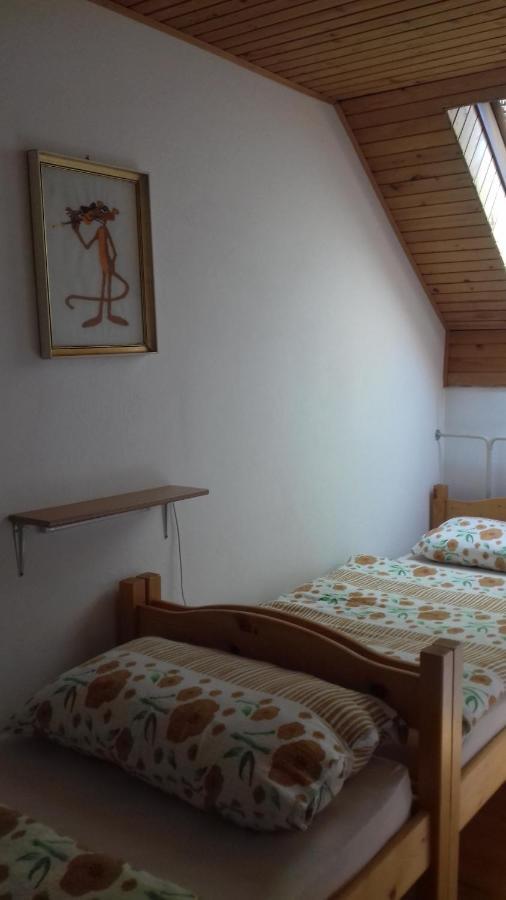 Apartma Podlogar Golica Triglav Appartement Jesenice Buitenkant foto