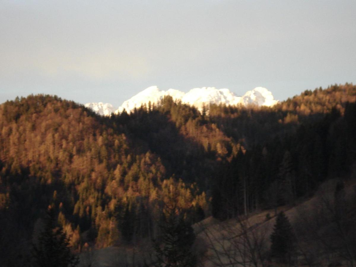 Apartma Podlogar Golica Triglav Appartement Jesenice Buitenkant foto